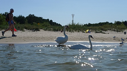 2009-08-24-1539.jpg