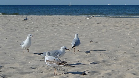 2009-08-24-1645.jpg