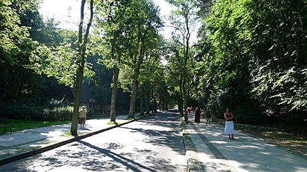 2009-08-25-1052.jpg