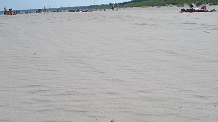 2009-08-25-1136.jpg