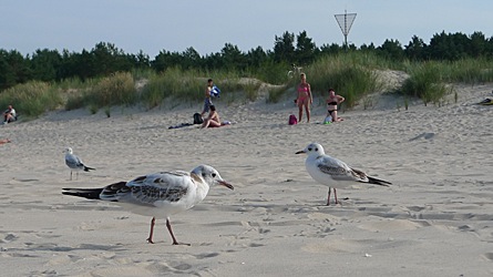 2009-08-25-1651.jpg