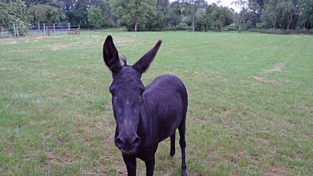 2009-08-03-2042.jpg