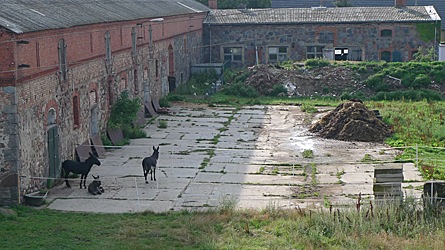 2009-08-04-0755.jpg