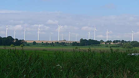 2009-08-04-0945.jpg