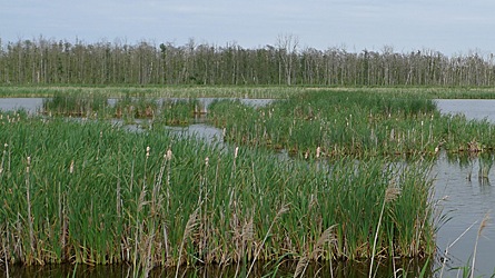 2009-08-04-1622.jpg