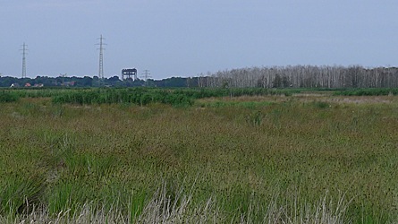 2009-08-04-1640.jpg