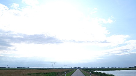 2009-08-04-1741.jpg