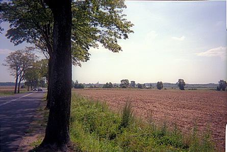 2009-08-08-1127.jpg
