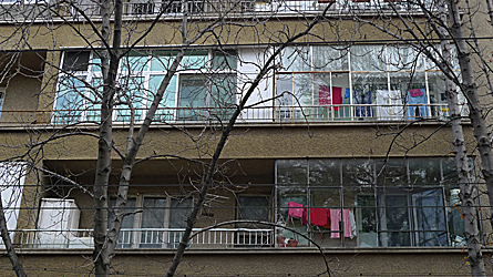 2009-10-29-1204.jpg