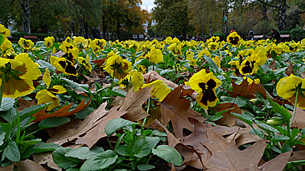 2009-10-29-1232.jpg