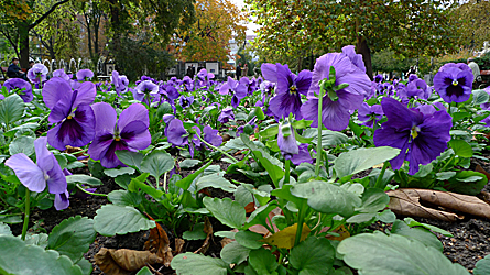 2009-10-29-1233.jpg