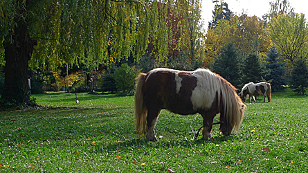 2009-10-29-1309.jpg