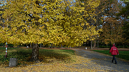 2009-10-29-1309b.jpg