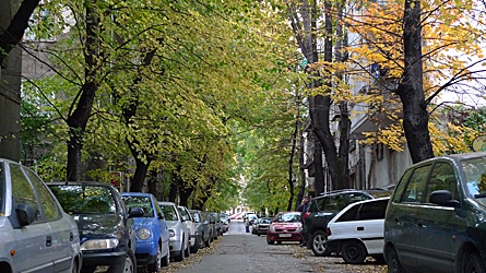 2009-10-29-1604.jpg