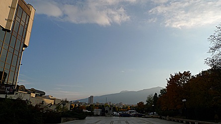 2009-10-29-1624.jpg