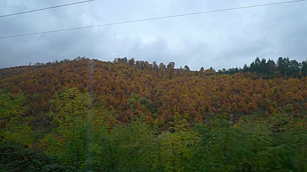 2009-10-30-1156.jpg