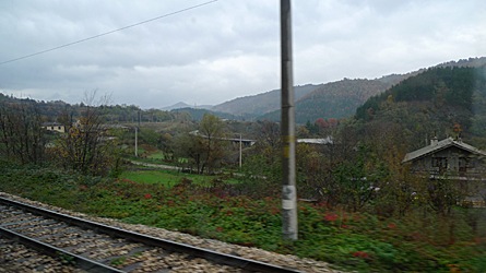 2009-10-30-1208.jpg