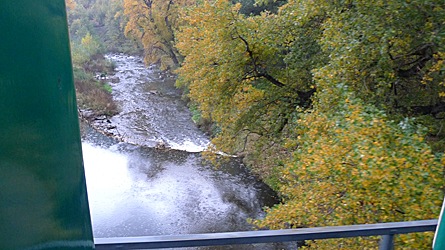 2009-10-30-1329.jpg