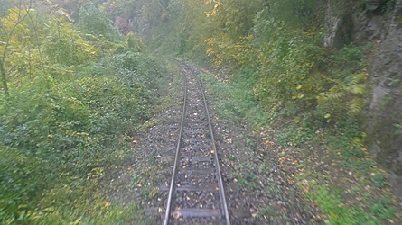 2009-10-30-1334.jpg