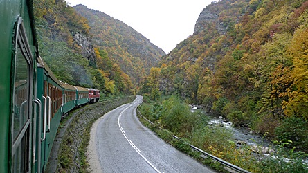 2009-10-30-1342.jpg