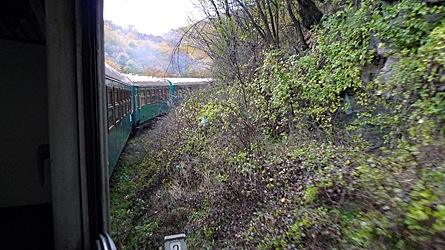 2009-10-30-1351.jpg