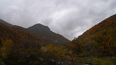 2009-10-30-1353.jpg