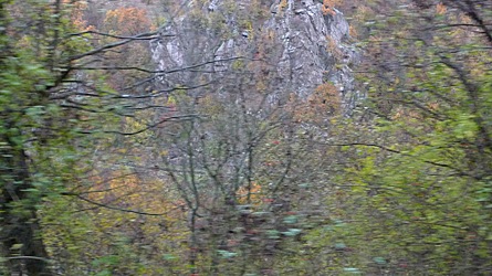 2009-10-30-1403.jpg