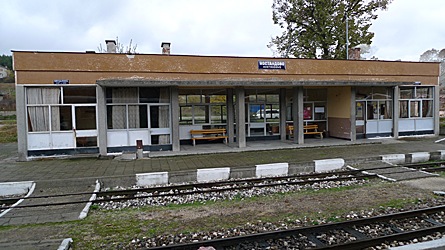 2009-10-30-1424.jpg