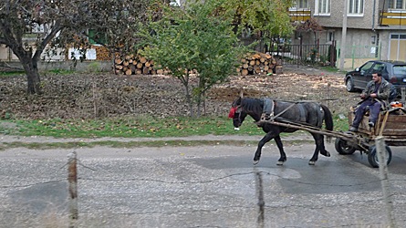 2009-10-30-1444.jpg