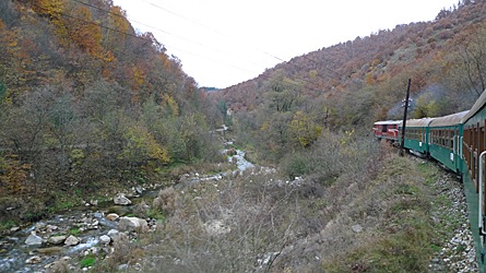 2009-10-30-1458.jpg