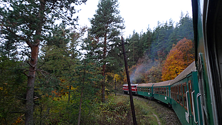 2009-10-30-1537.jpg