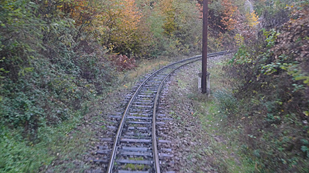 2009-10-30-1538.jpg