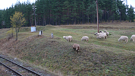 2009-10-30-1543.jpg