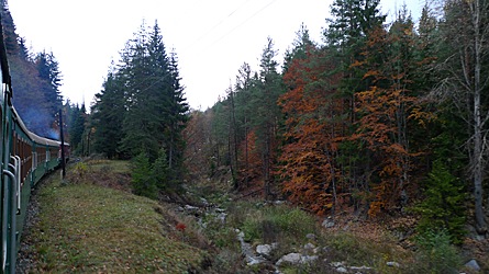 2009-10-30-1603.jpg