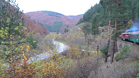 2009-10-30-1610.jpg