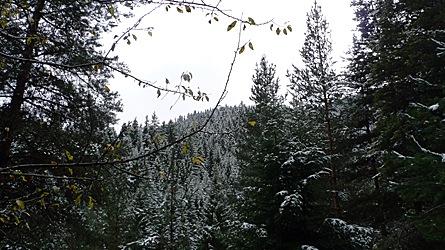2009-10-31-1354.jpg