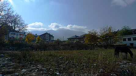 2009-11-01-1409.jpg