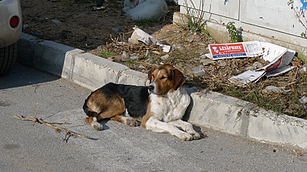 2009-11-01-1414.jpg