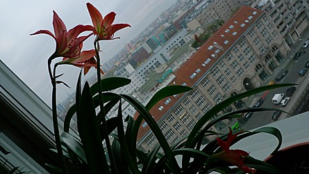 2009-11-11-1513.jpg