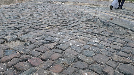 2009-11-13-1445.jpg