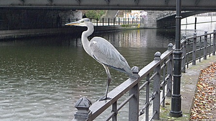 2009-11-13-1505.jpg
