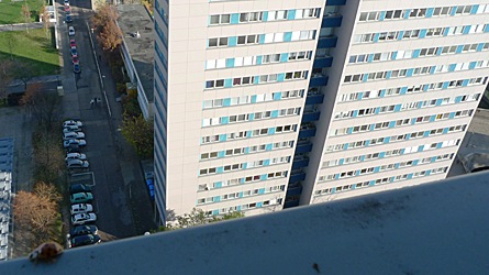2009-11-14-1203.jpg