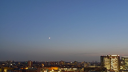 2009-11-20-1652.jpg