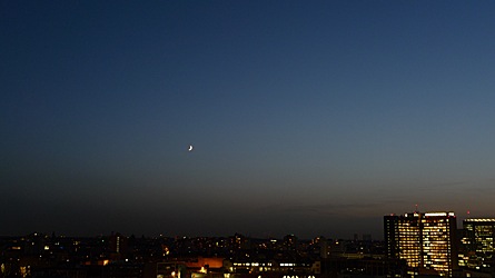 2009-11-20-1652a.jpg