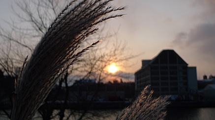 2009-12-18-1352.jpg