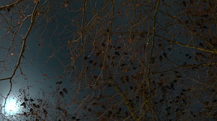 2009-12-27-1759.jpg