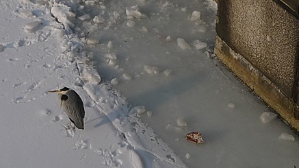 2010-02-17-1520.jpg