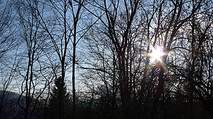 2010-03-05-0816.jpg