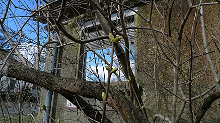 2010-03-05-1156.jpg