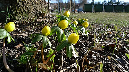 2010-03-05-1538.jpg